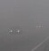 Fog